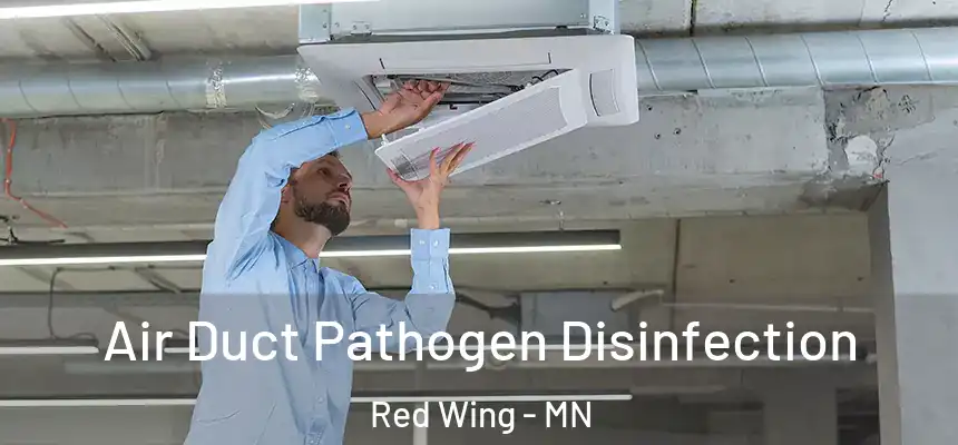  Air Duct Pathogen Disinfection Red Wing - MN