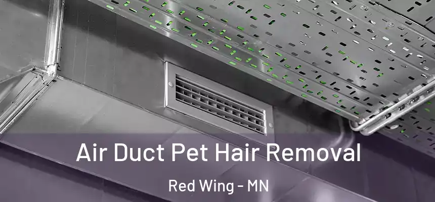  Air Duct Pet Hair Removal Red Wing - MN