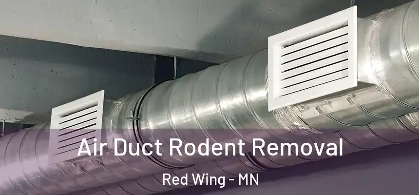  Air Duct Rodent Removal Red Wing - MN