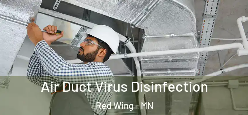  Air Duct Virus Disinfection Red Wing - MN