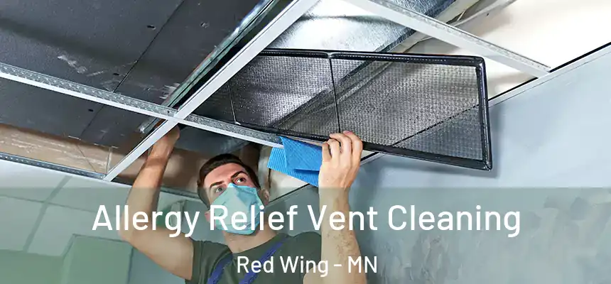  Allergy Relief Vent Cleaning Red Wing - MN