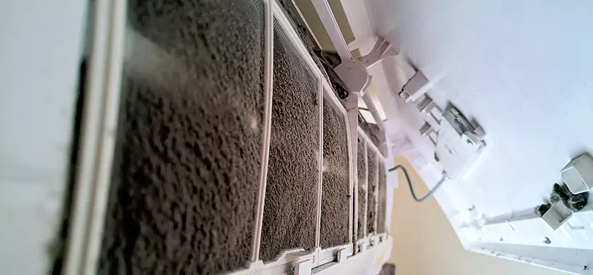 Preventive Air Duct Bacteria Removal in Red Wing