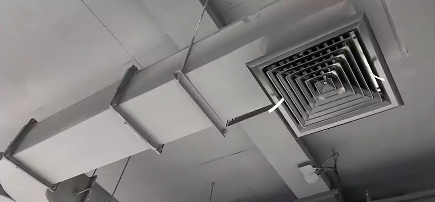 Restorative Allergy Relief Vent Cleaning – Coil, Blower & Housing Detail in Red Wing