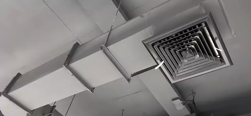 Our Pest Removal From Ducts Services in Red Wing, MN