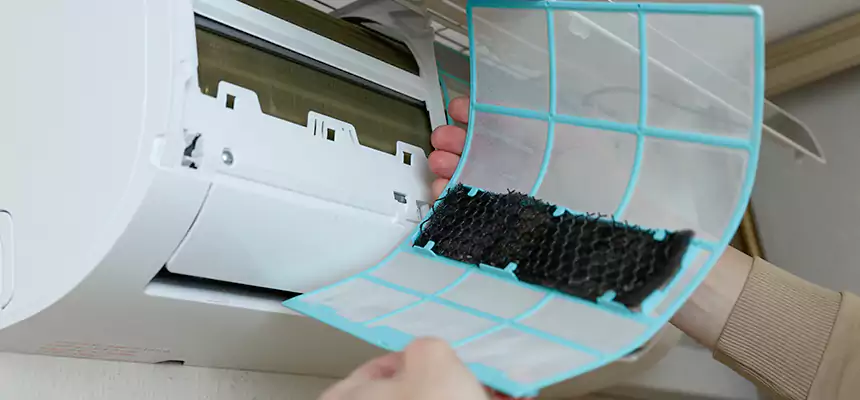 Gentle Ductwork Odor-Control Pet Dander Duct Cleaning in Red Wing, MN