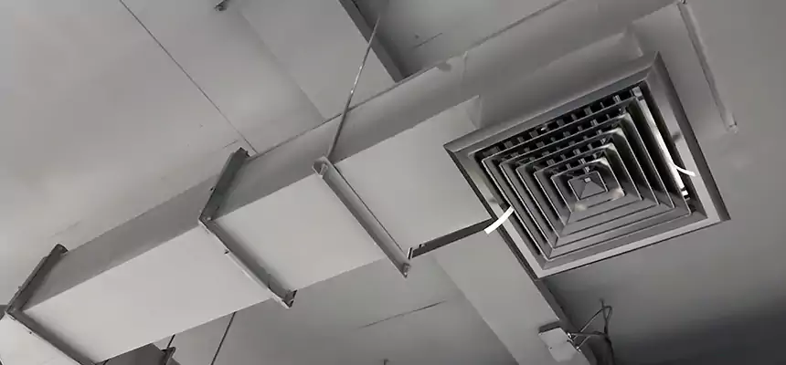 Our Rodent Droppings In Vents Services in Red Wing, MN