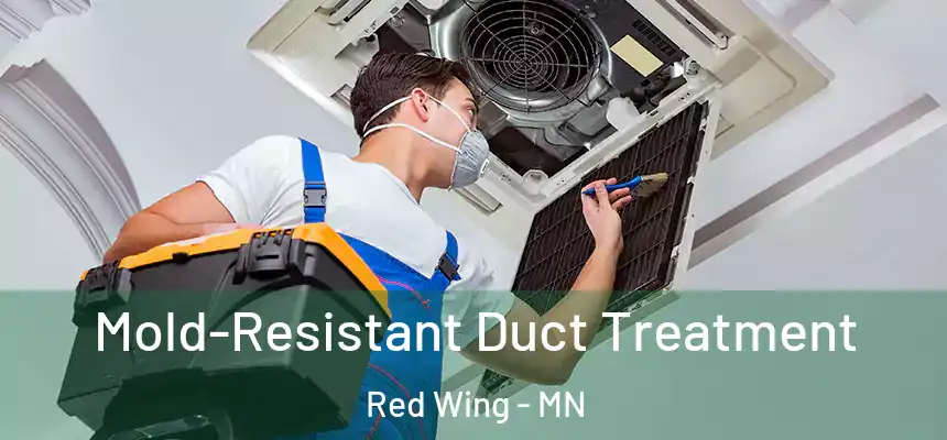  Mold-Resistant Duct Treatment Red Wing - MN