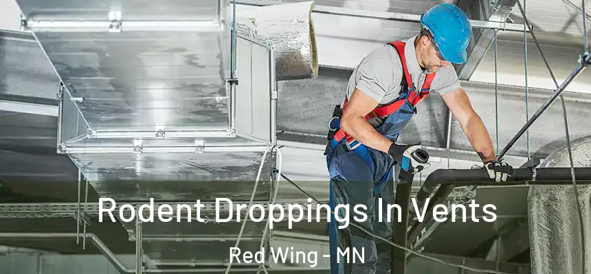  Rodent Droppings In Vents Red Wing - MN