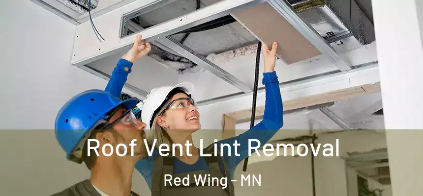 Roof Vent Lint Removal Red Wing - MN