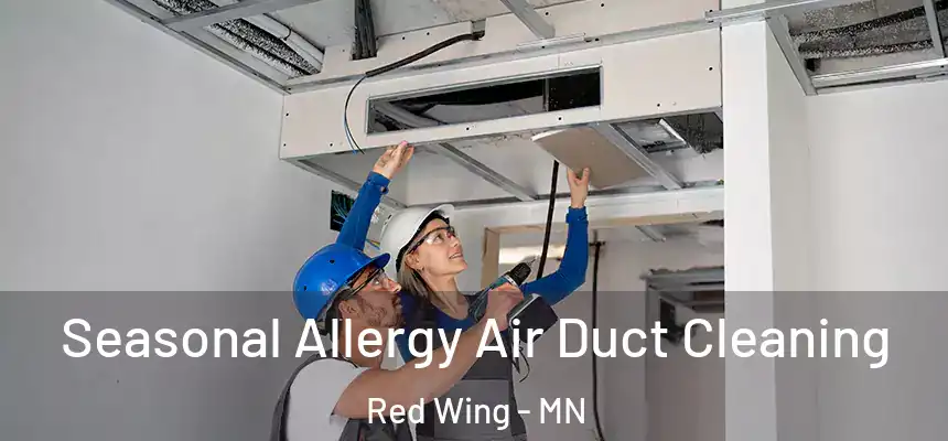  Seasonal Allergy Air Duct Cleaning Red Wing - MN