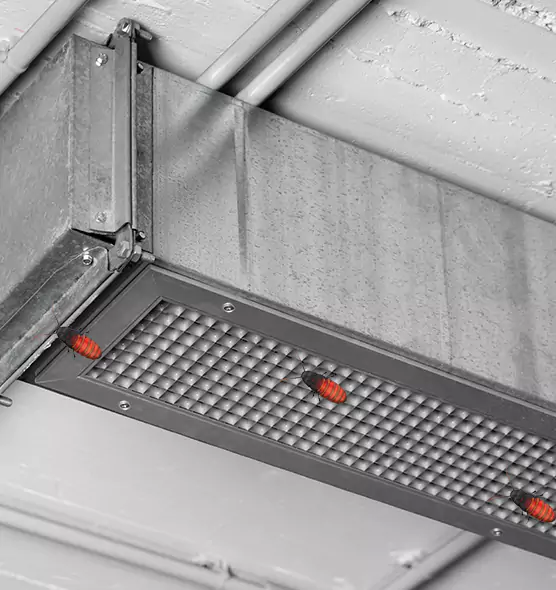 About Air Duct Cockroach Removal in Red Wing, MN