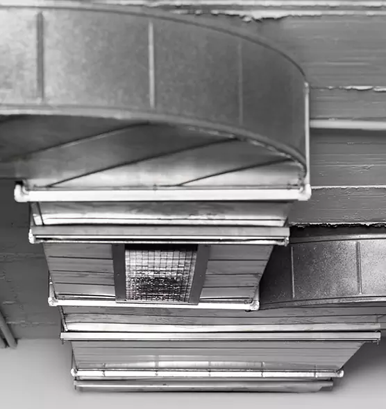 Professional Air Duct Pet Hair Removal in Red Wing, MN